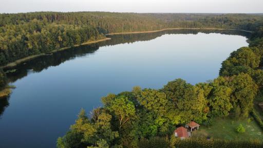 Golcza Vita - Housity