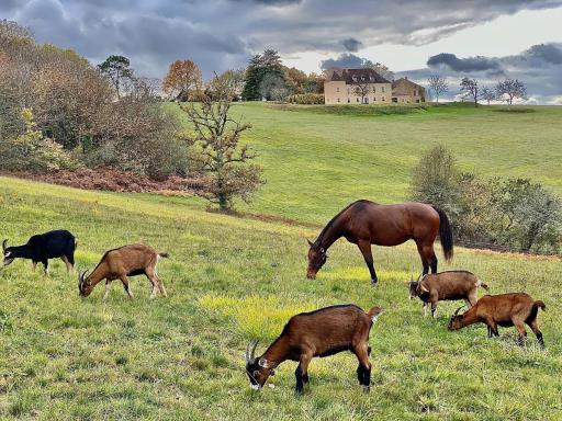 Domaine de Cazal - Gîte 2 pers avec piscine au cœur de 26 hectares de nature préservée - Housity