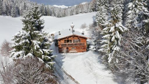 Luxury old wood mountain chalet in a sunny secluded location with gym, sauna & whirlpool - Housity