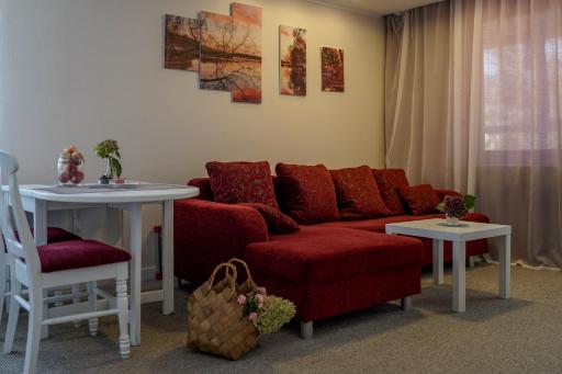 Apartamentai Birštono centre su židiniu - Housity