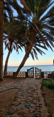 Dahab house Apartment sea - Housity