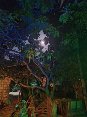 Akki's Hostel - Housity