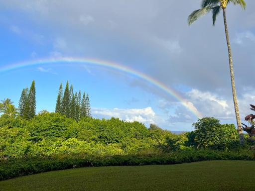Alii Kai II 11B - Housity