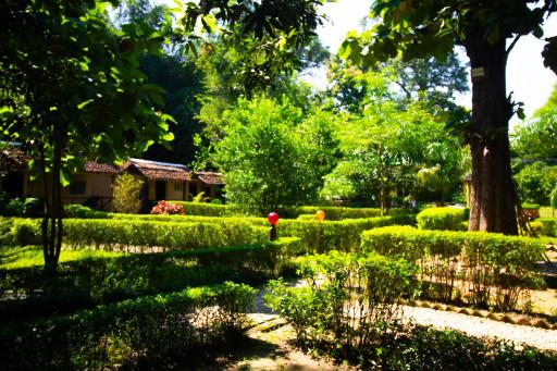 Wild Planet Eco Retreat - Housity
