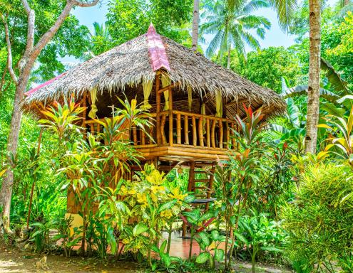 Water to Forest Ecolodge - Housity
