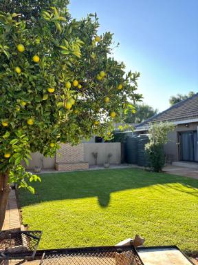 Carstens Garden Cottages - Housity