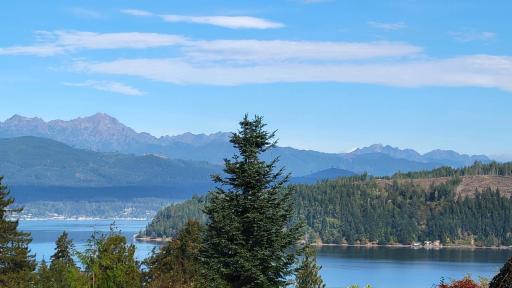 Northwest Stunner - Housity