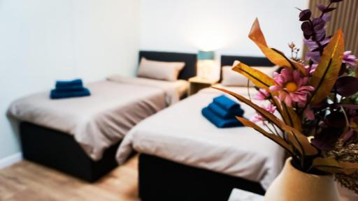 GLOW Apartment - Housity