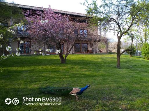 BioAgriturismo Vegan Campo di Cielo - Housity