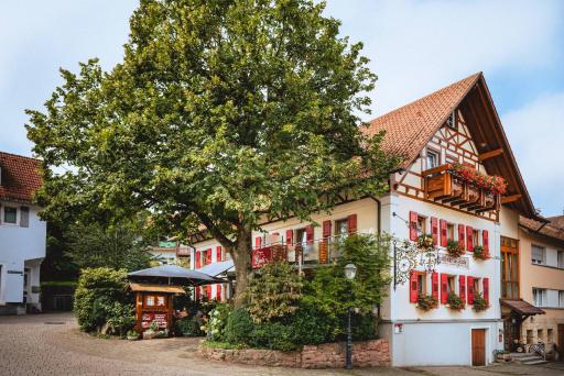 Landgasthaus zur Linde - Housity