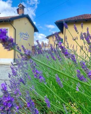 CASCINA DOMINA - Housity