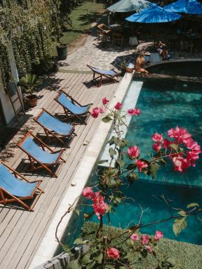 Tipsea Turtle Gili Air - Housity