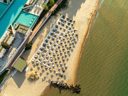 Secrets Sunny Beach Resort and Spa - Premium All Inclusive - Adults Only - Housity