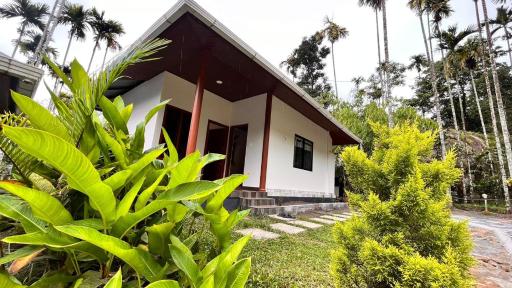 Cave Valley Wayanad - Housity