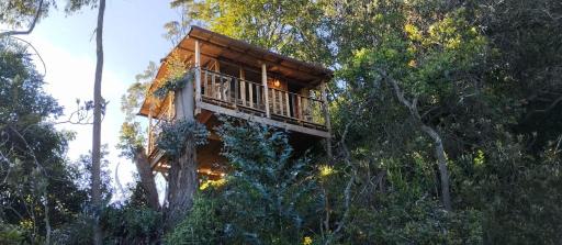 Casiopea Glamping - Housity
