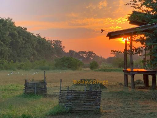 Baansahree Farmstay - Housity