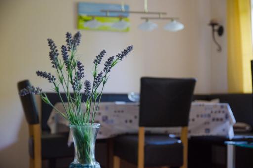Ferienwohnung Boje 4 - Housity
