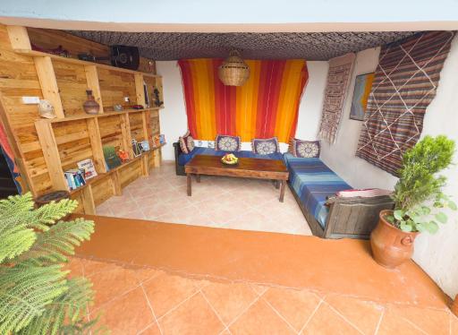 Surf & Skate - Housity
