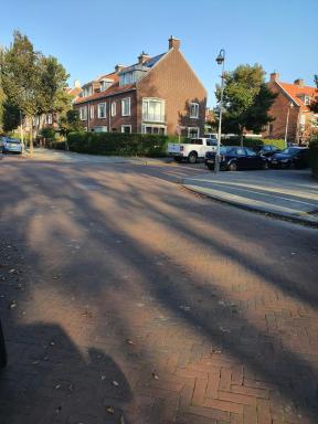 Cozy Garden House kijkduin Beach - Housity