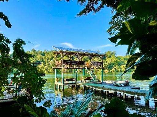Palmeras del Río HOTEL - Housity