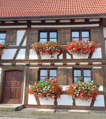 Ferienwohnung Hiemer - Housity