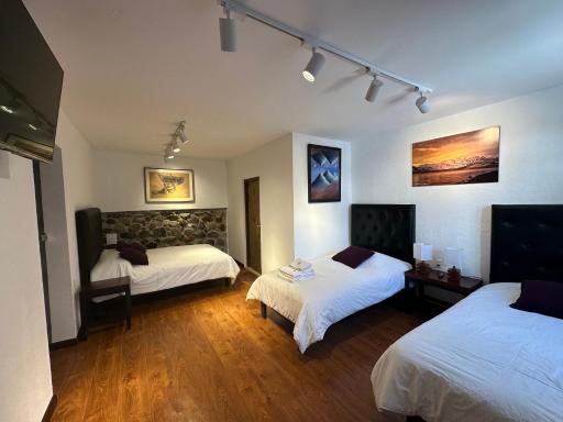 El Museo Hotel Boutique - Housity
