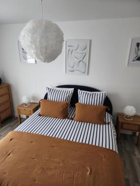 Appartement Plein Centre - Housity
