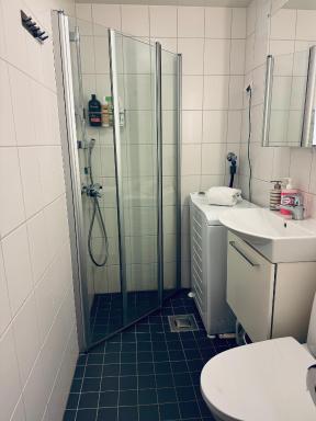 Lovely Apartment, Vuorimiehenkatu 31 - Housity