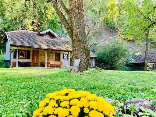 Kuca za odmor Todorovica mlin - Housity