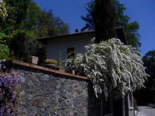 Ai 4 Gatti B&B - Housity