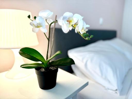 Sun Beach Apartment - Housity