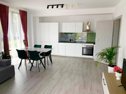 Apartament Denisa Baile Felix - Housity
