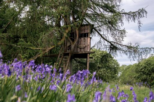Wild Boar Estate - Housity
