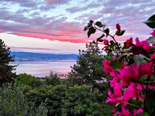 Apartment Sandra2 - Housity