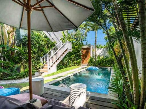 Kubu Guest House - Housity
