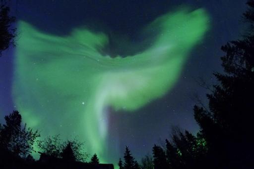 Hidden Valley Bed and Breakfast - Housity