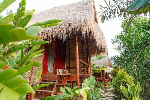 Sten Lodge eco Homestay - Housity