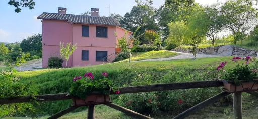 L'Albero degli Struzzi - Housity