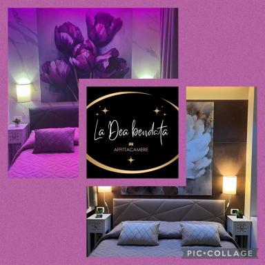 La Dea bendata - Housity