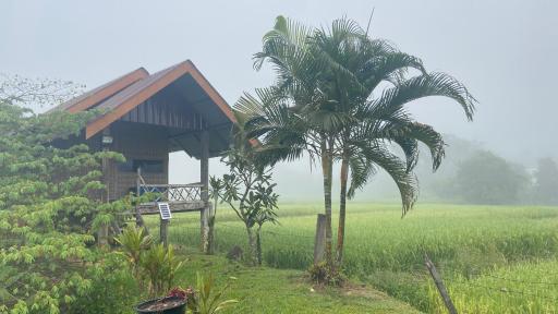 Poopha home stay - Housity