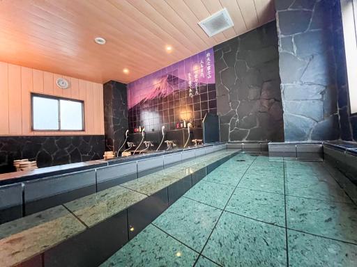 HOTEL CROWN HILLS FUJINOMIYA - Housity