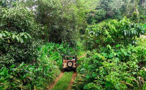 Janiro Tea Trees Villas by GreenEscapes - Housity