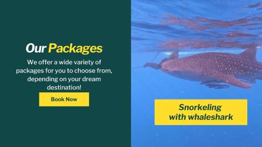 Whale shark Sumbawa Tour - Housity