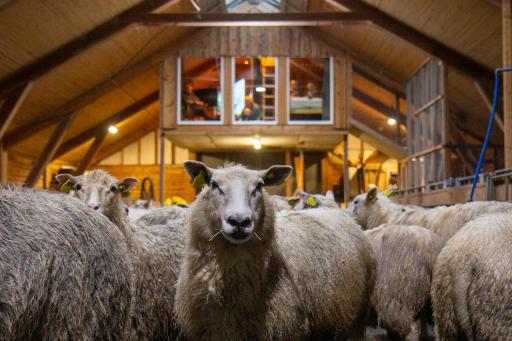 Unik fjøsleilighet - Housity