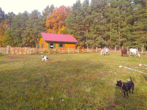 Agroturystyka Polana Harmonii - Housity