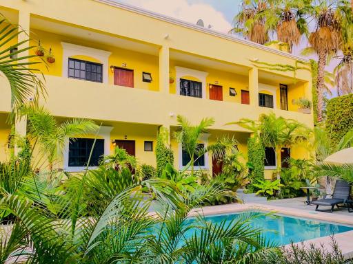 Gallo Azul Hotel, en el corazón de Todos Santos - Housity