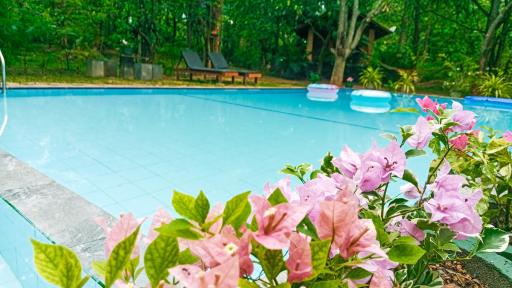 Lotus Eco Villa - Housity