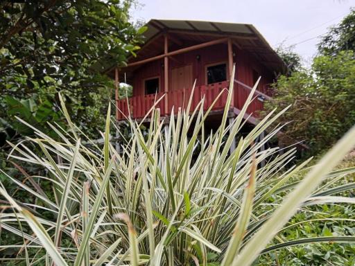 Cabaña En El Bosque - Housity