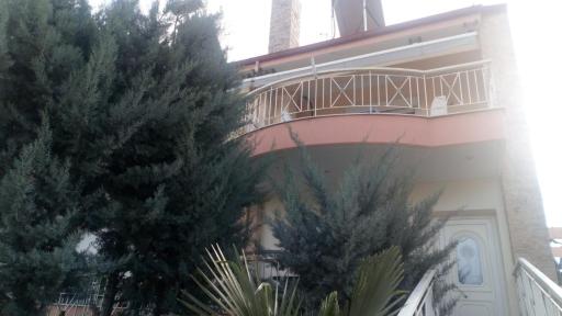 Roses Apartments - Housity