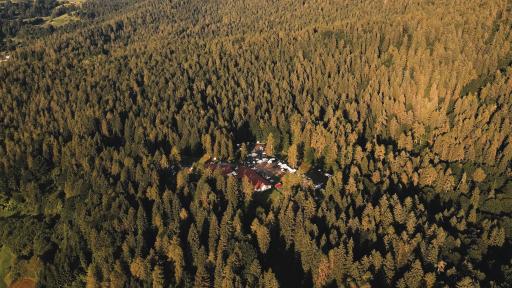 Forest Camp Val di Gresta - Housity